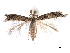  ( - CCDB-29477-B05)  @11 [ ] CreativeCommons - Attribution (2018) CBG Photography Group Centre for Biodiversity Genomics