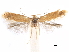  ( - CCDB-29477-B07)  @11 [ ] CreativeCommons - Attribution (2018) CBG Photography Group Centre for Biodiversity Genomics