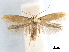  ( - CCDB-29477-C01)  @11 [ ] CreativeCommons - Attribution (2018) CBG Photography Group Centre for Biodiversity Genomics