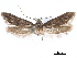  ( - CCDB-29477-G06)  @11 [ ] CreativeCommons - Attribution (2018) CBG Photography Group Centre for Biodiversity Genomics