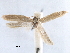  ( - CCDB-29477-H03)  @11 [ ] CreativeCommons - Attribution (2018) CBG Photography Group Centre for Biodiversity Genomics