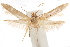  ( - CCDB-29478-B03)  @11 [ ] CreativeCommons - Attribution (2018) CBG Photography Group Centre for Biodiversity Genomics