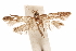  ( - CCDB-29478-C01)  @11 [ ] CreativeCommons - Attribution (2018) CBG Photography Group Centre for Biodiversity Genomics