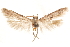  ( - CCDB-29478-C07)  @11 [ ] CreativeCommons - Attribution (2018) CBG Photography Group Centre for Biodiversity Genomics