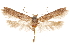  ( - CCDB-29478-C08)  @11 [ ] CreativeCommons - Attribution (2018) CBG Photography Group Centre for Biodiversity Genomics