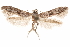  ( - CCDB-29478-D04)  @11 [ ] CreativeCommons - Attribution (2018) CBG Photography Group Centre for Biodiversity Genomics