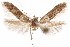  ( - CCDB-29478-D12)  @11 [ ] CreativeCommons - Attribution (2018) CBG Photography Group Centre for Biodiversity Genomics