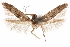  ( - CCDB-29478-E01)  @13 [ ] CreativeCommons - Attribution (2018) CBG Photography Group Centre for Biodiversity Genomics