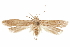  ( - CCDB-29478-E10)  @11 [ ] CreativeCommons - Attribution (2018) CBG Photography Group Centre for Biodiversity Genomics