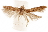  ( - CCDB-29478-G05)  @11 [ ] CreativeCommons - Attribution (2018) CBG Photography Group Centre for Biodiversity Genomics