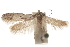  ( - CCDB-29479-G09)  @11 [ ] CreativeCommons - Attribution (2018) CBG Photography Group Centre for Biodiversity Genomics