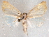  ( - CCDB-29480-F08)  @14 [ ] CreativeCommons - Attribution Non-Commercial Share-Alike (2017) E.H.Metzler Smithsonian Institution National Museum