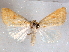  ( - CCDB-29480-F10)  @14 [ ] CreativeCommons - Attribution Non-Commercial Share-Alike (2017) E.H.Metzler Smithsonian Institution National Museum