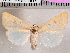  ( - CCDB-29480-G08)  @14 [ ] CreativeCommons - Attribution Non-Commercial Share-Alike (2017) E.H.Metzler Smithsonian Institution National Museum