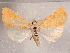  ( - CCDB-29480-H01)  @14 [ ] CreativeCommons - Attribution Non-Commercial Share-Alike (2017) E.H.Metzler Smithsonian Institution National Museum