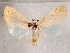 ( - CCDB-29480-H04)  @14 [ ] CreativeCommons - Attribution Non-Commercial Share-Alike (2017) E.H.Metzler Smithsonian Institution National Museum