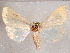  ( - CCDB-29480-H05)  @14 [ ] CreativeCommons - Attribution Non-Commercial Share-Alike (2017) E.H.Metzler Smithsonian Institution National Museum