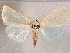  ( - CCDB-29480-H06)  @14 [ ] CreativeCommons - Attribution Non-Commercial Share-Alike (2017) E.H.Metzler Smithsonian Institution National Museum