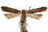  ( - CCDB-29493-E08)  @11 [ ] CreativeCommons - Attribution (2018) CBG Photography Group Centre for Biodiversity Genomics