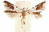  ( - CCDB-30810-A04)  @11 [ ] CreativeCommons - Attribution (2018) CBG Photography Group Centre for Biodiversity Genomics