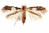  ( - CCDB-30810-A12)  @11 [ ] CreativeCommons - Attribution (2018) CBG Photography Group Centre for Biodiversity Genomics