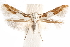  ( - CCDB-30810-B01)  @11 [ ] CreativeCommons - Attribution (2018) CBG Photography Group Centre for Biodiversity Genomics