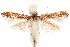  ( - CCDB-30810-B06)  @12 [ ] CreativeCommons - Attribution (2018) CBG Photography Group Centre for Biodiversity Genomics