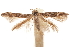  ( - CCDB-30810-E01)  @11 [ ] CreativeCommons - Attribution (2018) CBG Photography Group Centre for Biodiversity Genomics