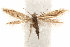  ( - CCDB-30810-H04)  @13 [ ] CreativeCommons - Attribution (2018) CBG Photography Group Centre for Biodiversity Genomics