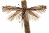  ( - CCDB-30810-H10)  @11 [ ] CreativeCommons - Attribution (2018) CBG Photography Group Centre for Biodiversity Genomics