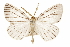  ( - CCDB-30812-C10)  @11 [ ] CreativeCommons - Attribution (2018) CBG Photography Group Centre for Biodiversity Genomics
