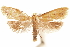  ( - CCDB-30812-F08)  @11 [ ] CreativeCommons - Attribution (2018) CBG Photography Group Centre for Biodiversity Genomics