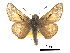  ( - CCDB-30817-F01)  @11 [ ] CreativeCommons - Attribution (2017) Jacopo Dercole Centre for Biodiversity Genomics