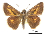 ( - CCDB-30817-G01)  @14 [ ] CreativeCommons - Attribution (2017) Jacopo Dercole Centre for Biodiversity Genomics