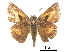  ( - CCDB-30817-G02)  @14 [ ] CreativeCommons - Attribution (2017) Jacopo Dercole Centre for Biodiversity Genomics