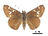  ( - CCDB-30817-H08)  @11 [ ] CreativeCommons - Attribution (2017) Jacopo Dercole Centre for Biodiversity Genomics