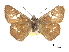  ( - CCDB-30818-A03)  @11 [ ] CreativeCommons - Attribution (2017) Jacopo Dercole Centre for Biodiversity Genomics