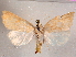  ( - CCDB-30818-D12)  @14 [ ] CreativeCommons - Attribution Non-Commercial Share-Alike (2017) E.H.Metzler Smithsonian Institution National Museum