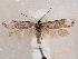  ( - CCDB-30818-G03)  @11 [ ] CreativeCommons - Attribution Non-Commercial Share-Alike (2017) E.H.Metzler Smithsonian Institution National Museum