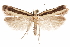  ( - CCDB-31099-B09)  @11 [ ] CreativeCommons - Attribution (2018) CBG Photography Group Centre for Biodiversity Genomics