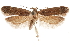 ( - CCDB-31099-B10)  @11 [ ] CreativeCommons - Attribution (2018) CBG Photography Group Centre for Biodiversity Genomics