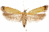  ( - CCDB-31099-C04)  @11 [ ] CreativeCommons - Attribution (2018) CBG Photography Group Centre for Biodiversity Genomics