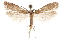  ( - CCDB-31099-D10)  @11 [ ] CreativeCommons - Attribution (2018) CBG Photography Group Centre for Biodiversity Genomics