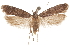  ( - CCDB-31099-G05)  @11 [ ] CreativeCommons - Attribution (2018) CBG Photography Group Centre for Biodiversity Genomics