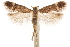  ( - CCDB-31099-G12)  @11 [ ] CreativeCommons - Attribution (2018) CBG Photography Group Centre for Biodiversity Genomics