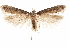  ( - CCDB-31100-C04)  @11 [ ] CreativeCommons - Attribution (2018) CBG Photography Group Centre for Biodiversity Genomics
