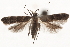  ( - CCDB-31100-C12)  @11 [ ] CreativeCommons - Attribution (2018) CBG Photography Group Centre for Biodiversity Genomics