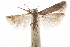  ( - CCDB-31100-F04)  @11 [ ] CreativeCommons - Attribution (2018) CBG Photography Group Centre for Biodiversity Genomics