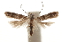  ( - CCDB-31100-G01)  @11 [ ] CreativeCommons - Attribution (2018) CBG Photography Group Centre for Biodiversity Genomics