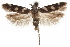  ( - CCDB-31100-H04)  @11 [ ] CreativeCommons - Attribution (2018) CBG Photography Group Centre for Biodiversity Genomics